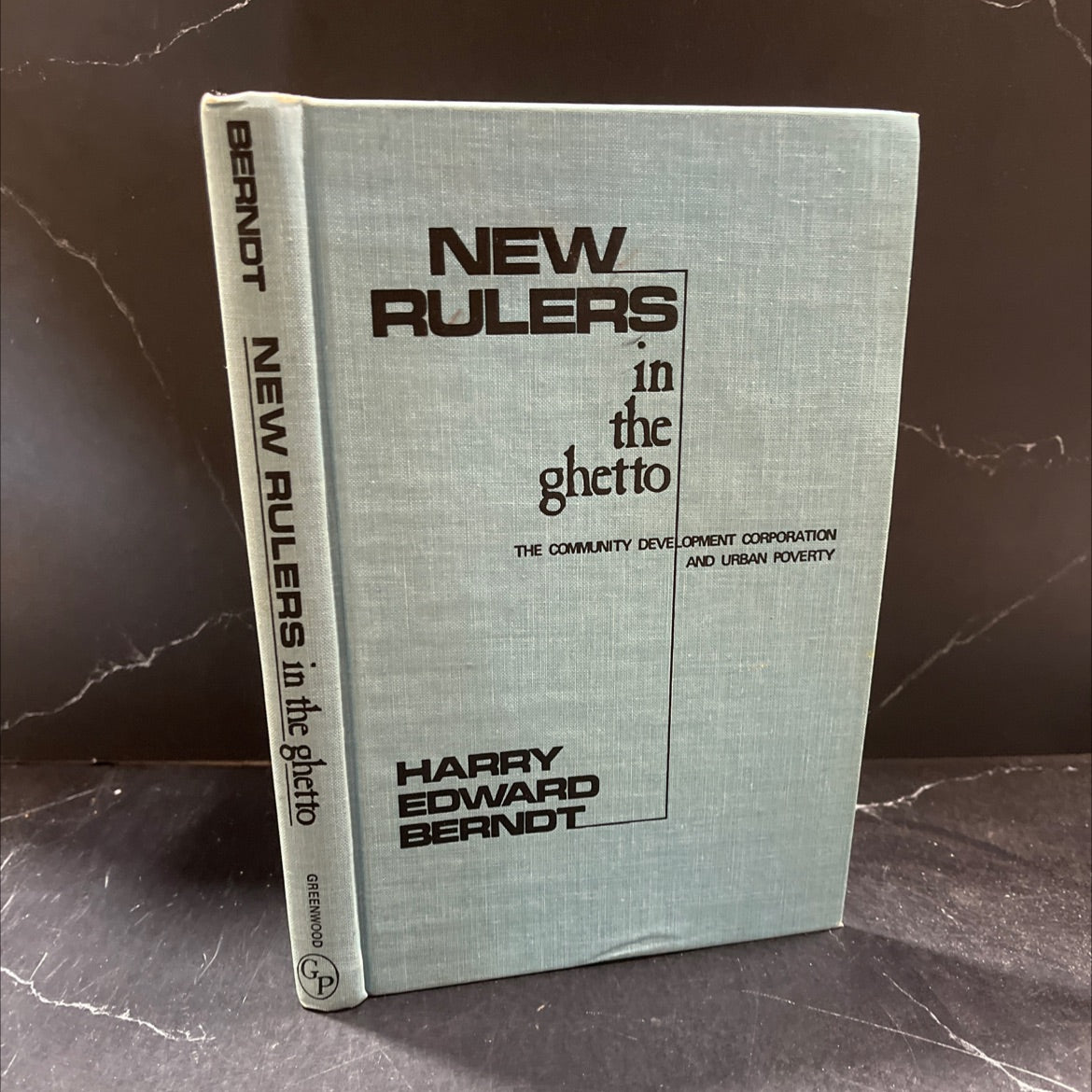 new rulers in the ghetto book, by harry edward berndt, 1977 Hardcover image 1