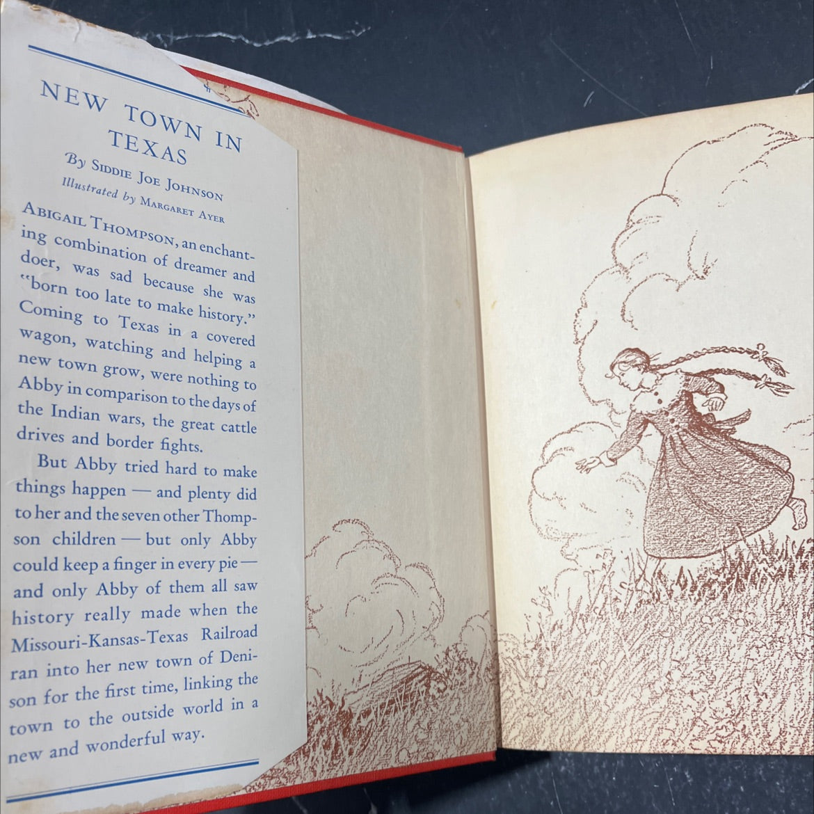 new town in texas book, by siddie joe johnson, 1942 Hardcover image 4