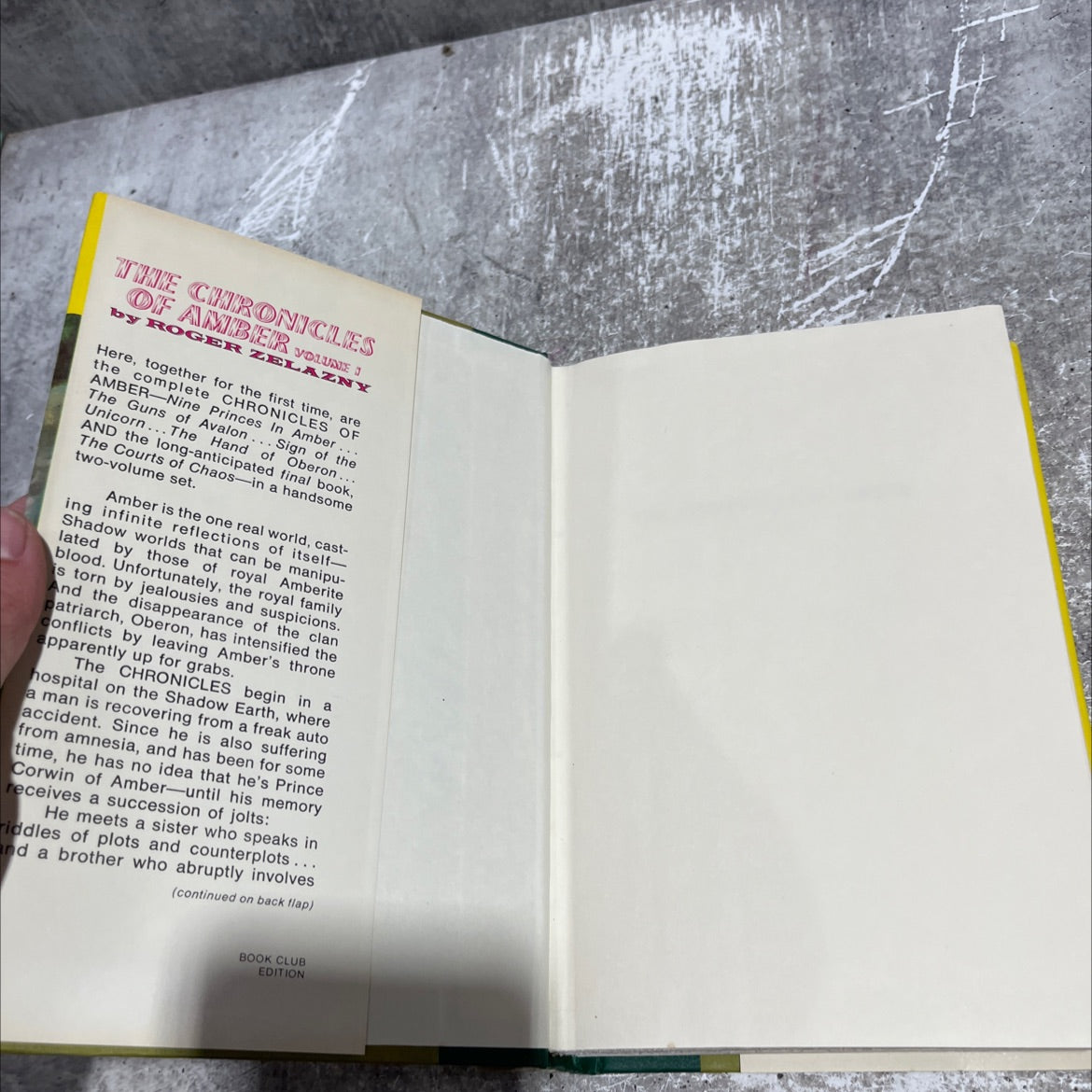 nine princes in amber / the guns of avalon book, by roger zelazny, 1972 Hardcover image 4