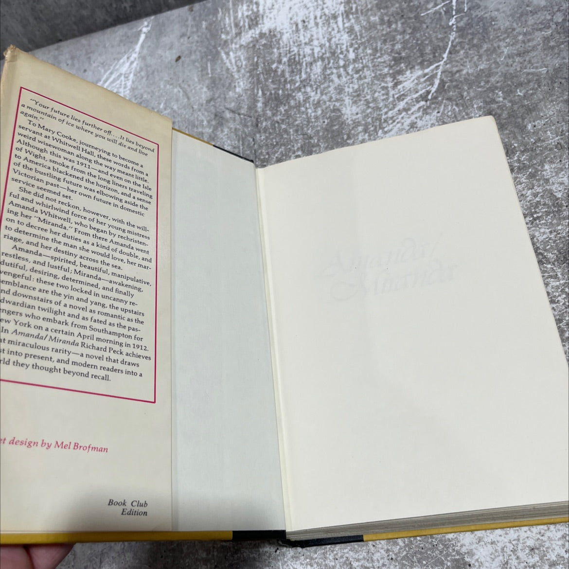 noamanda! miranda book, by Richard Peck, 1980 Hardcover image 4