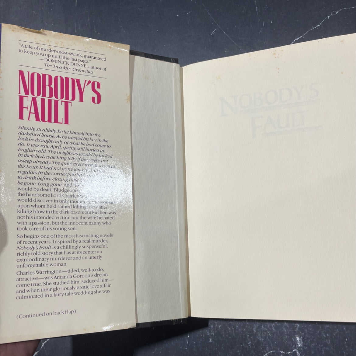 nobody's fault book, by nancy holmes, 1990 Hardcover image 4