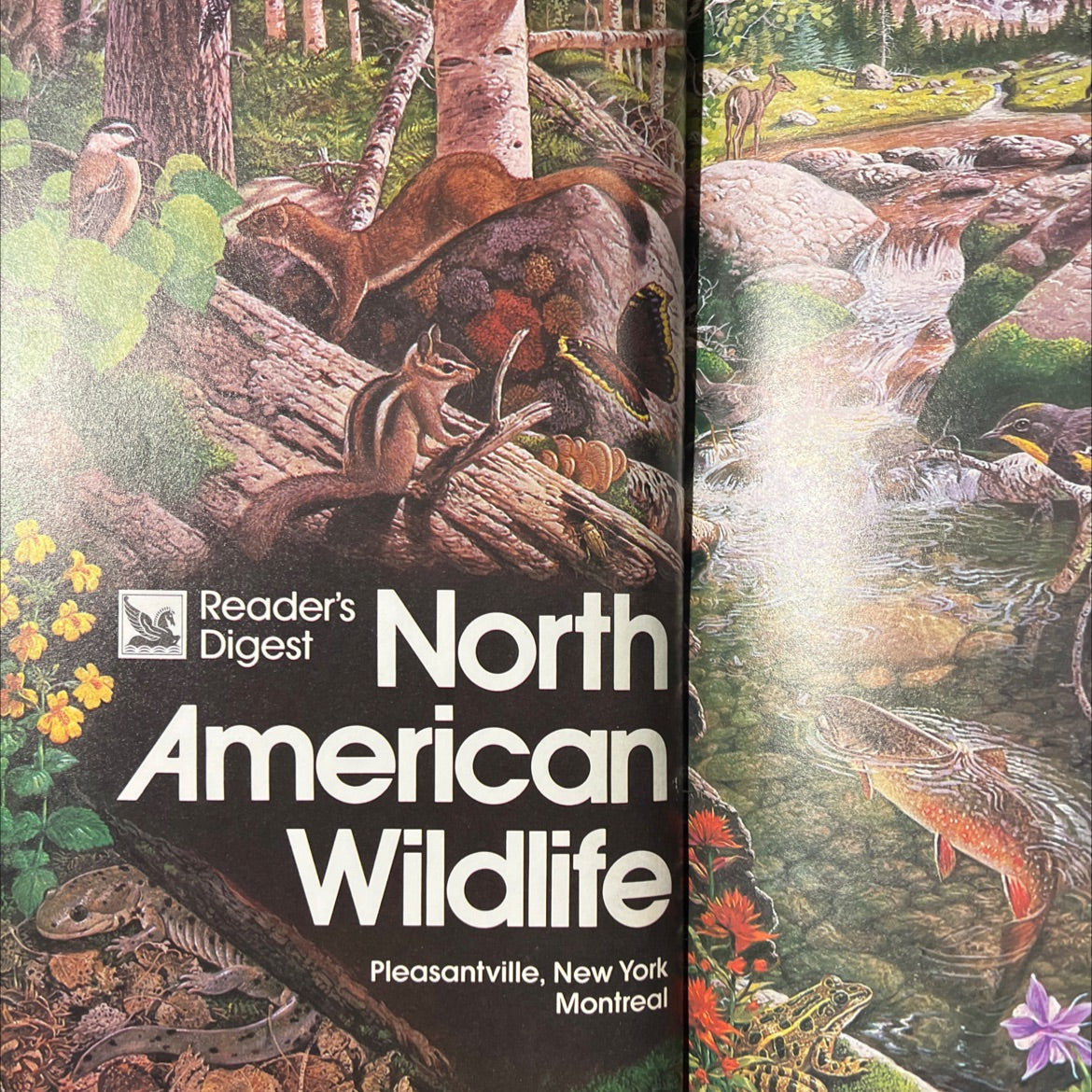 north american wildlife book, by Susan J. Wernert, 1982 Leather image 2