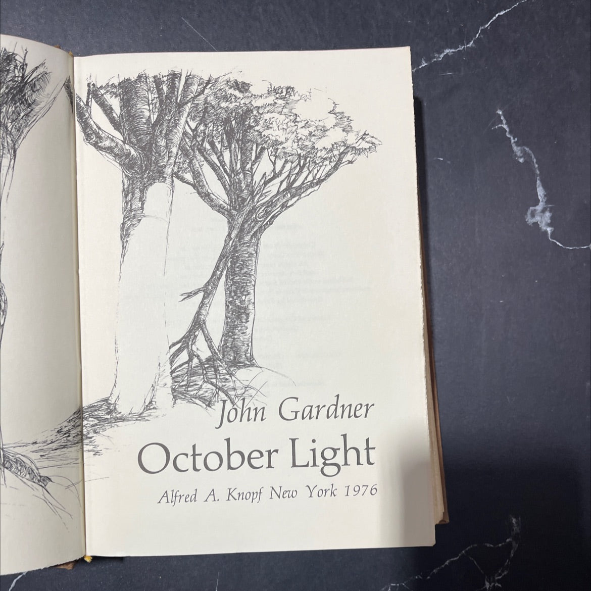 october light book, by John Gardner, 1976 Hardcover image 2