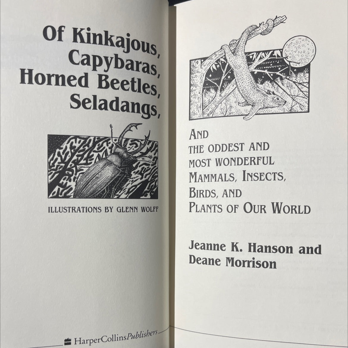 of kinkajous, capybaras, horned beetles, seladangs, and the oddest and most wonderful mammals, insects, birds, and image 2