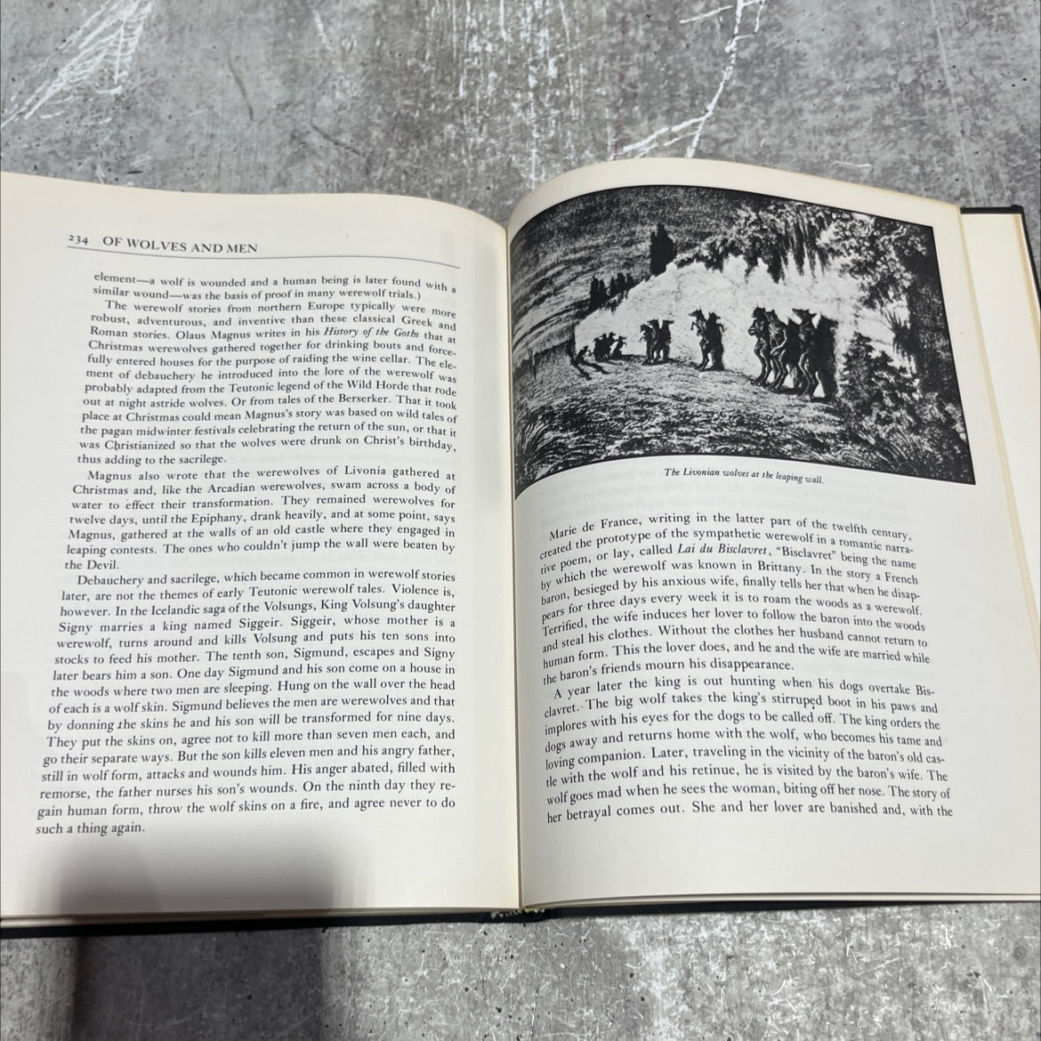 of wolves and men book, by Barry Holstun Lopez, 1978 Hardcover image 4