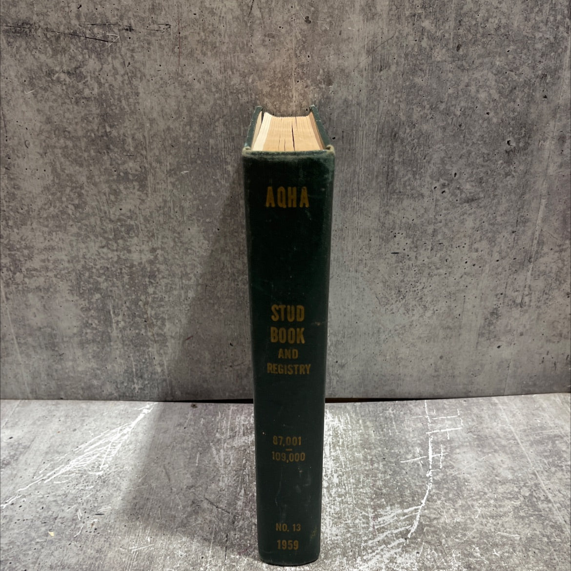 official stud book and registry number 13 book, by the american quarter horse association, 1960 Hardcover image 4