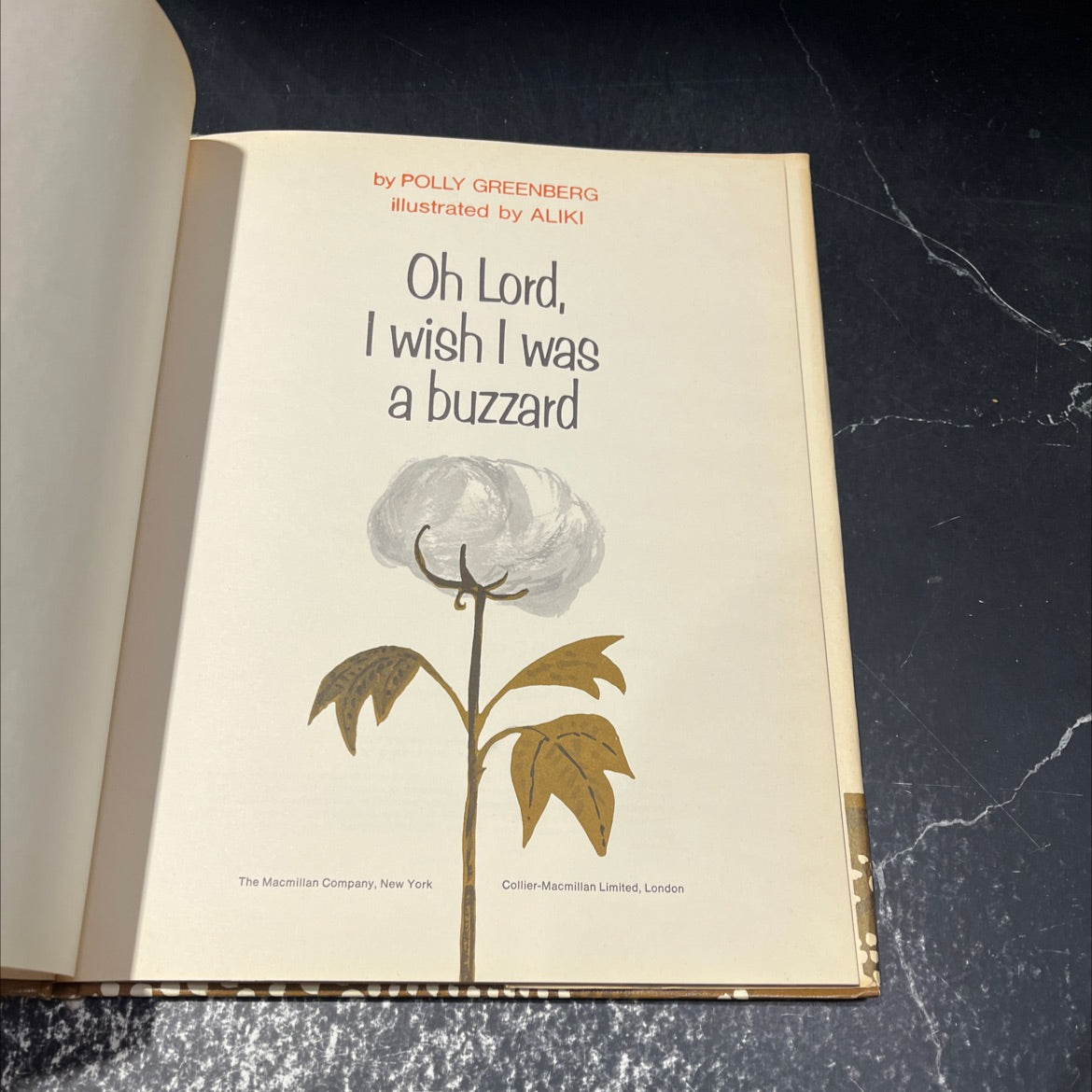 oh lord, i wish i was a buzzard book, by polly greenberg, 1968 Hardcover, First Edition, Vintage image 2