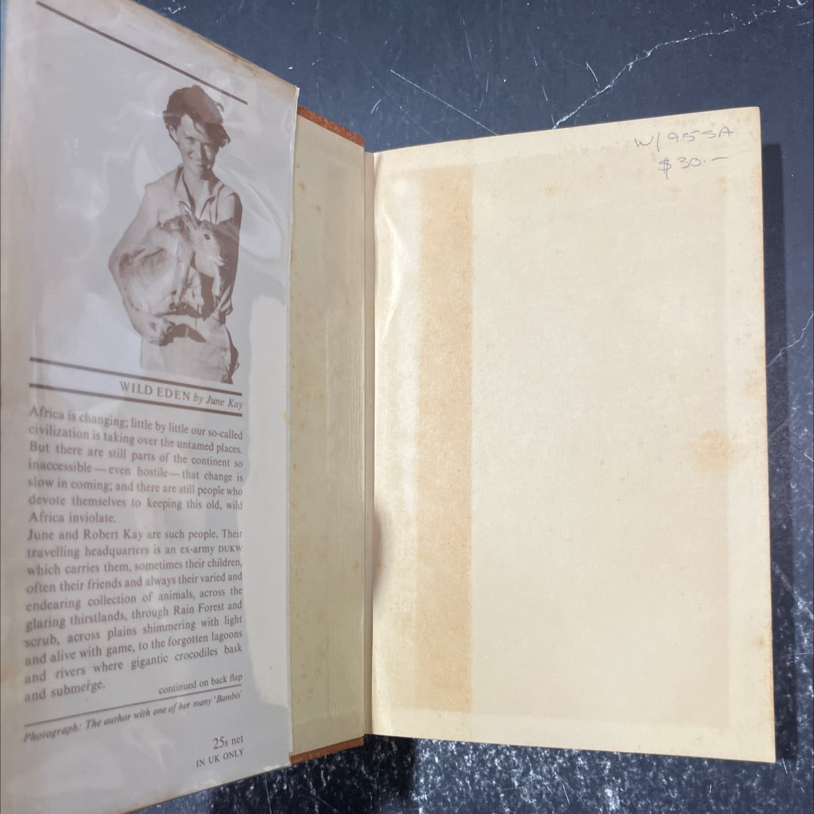 okavango night wild eden book, by june kay, 1964 Hardcover image 4