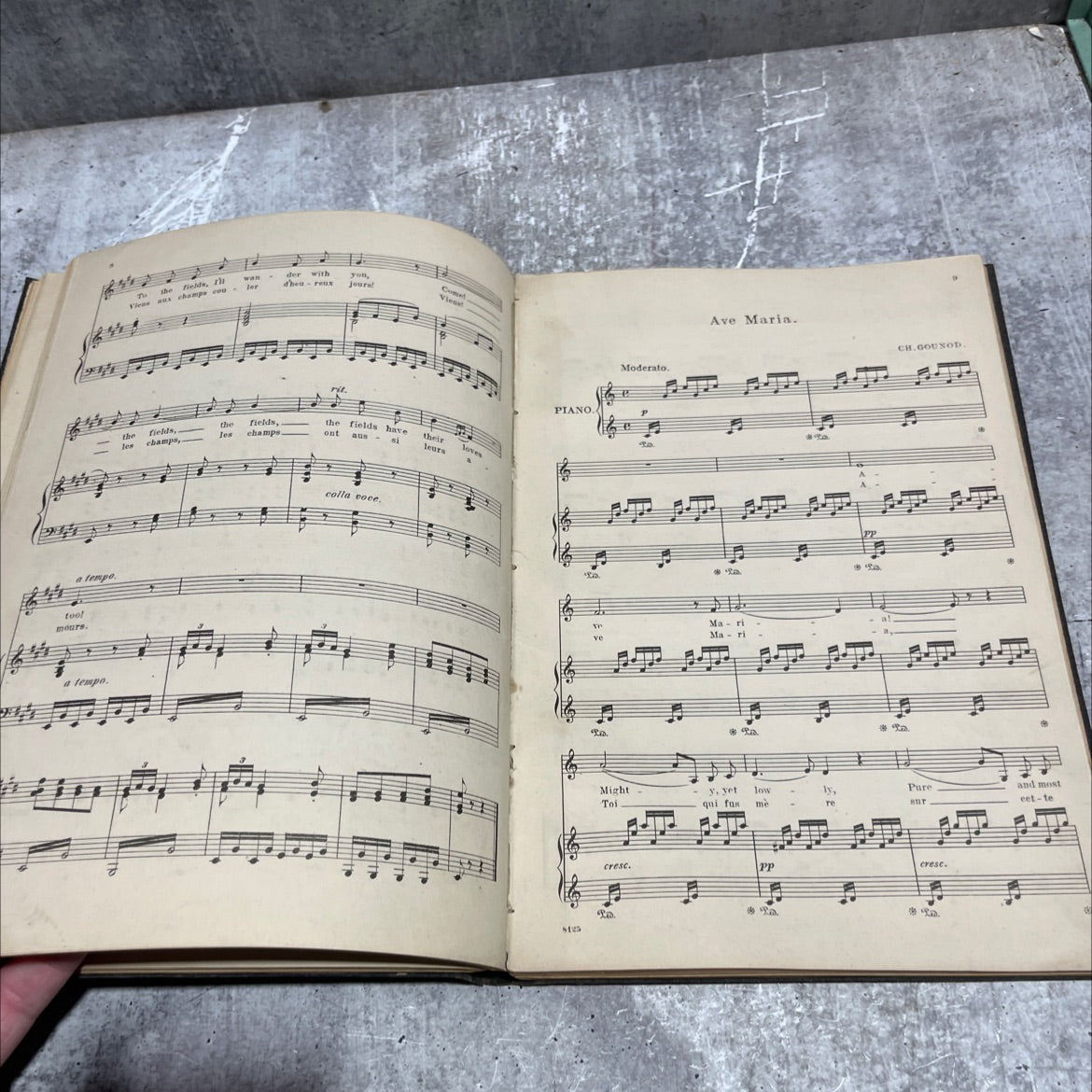 ong album book, by benj. godard, 1970 Hardcover image 4