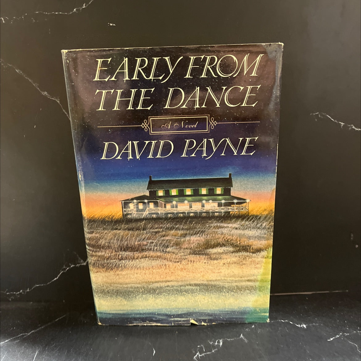 onto xhos early from dri vodoma as lo leyesiog de ban va the dance book, by David Payne, 1989 Hardcover image 1