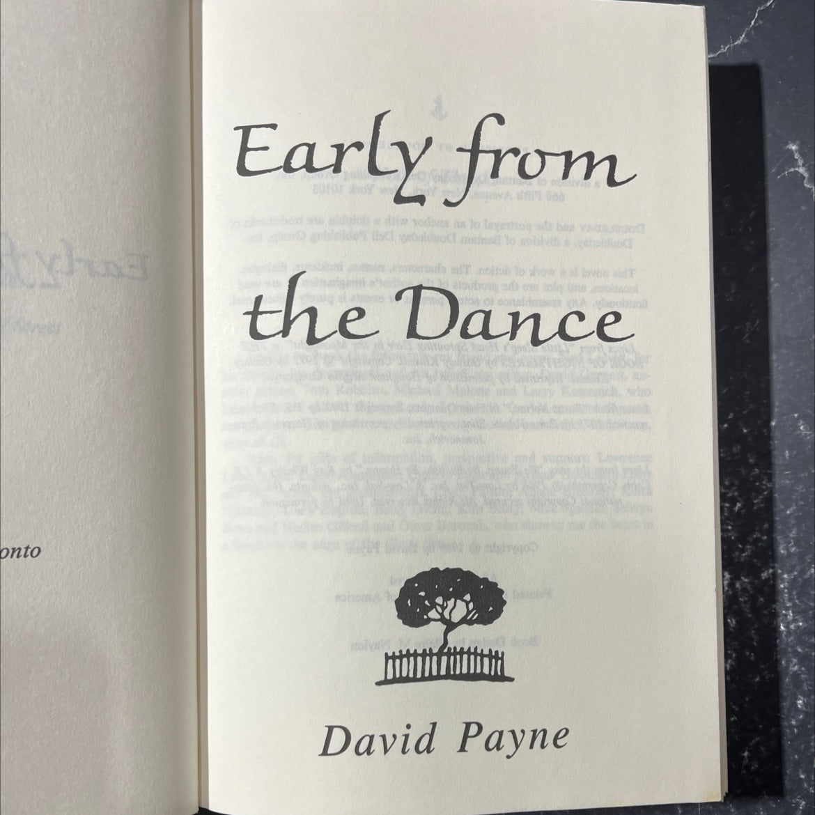 onto xhos early from dri vodoma as lo leyesiog de ban va the dance book, by David Payne, 1989 Hardcover image 2