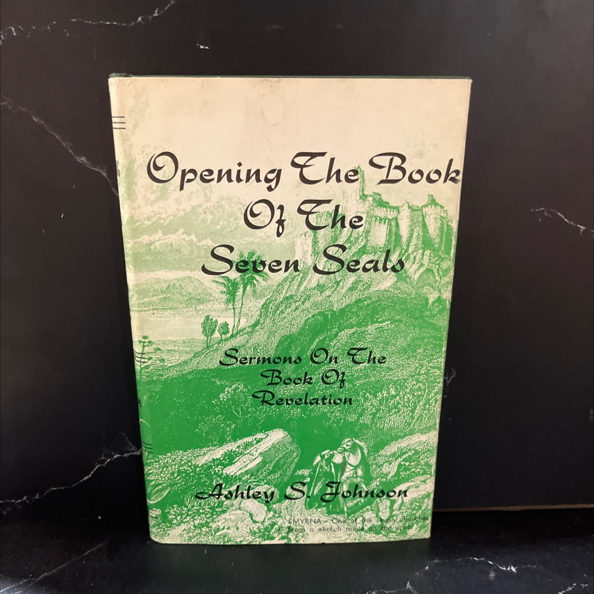 opening the book -of- the seven seals or twenty-two plain sermons on the book of the revelation of jesus christ book, image 1