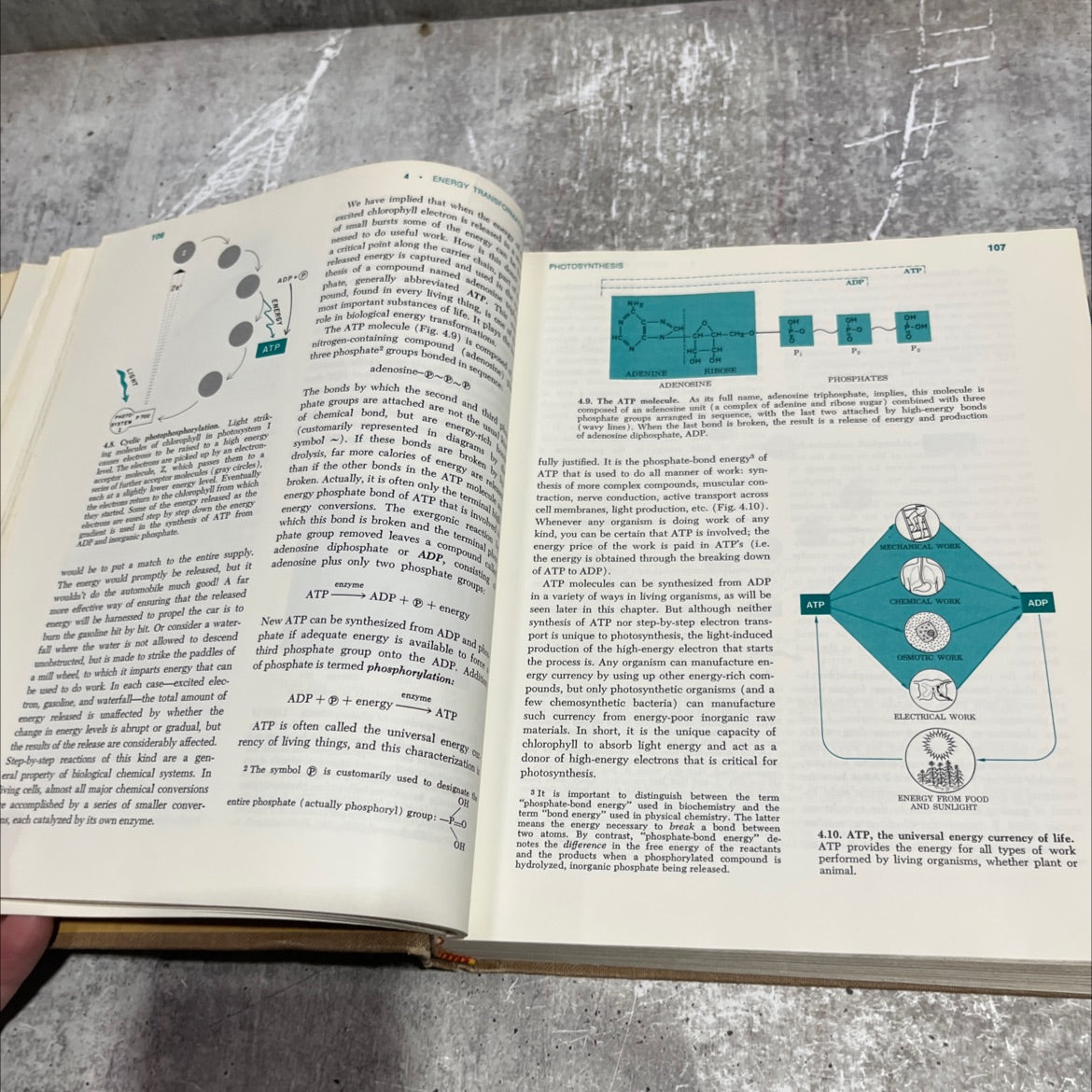 orary wgs biological science contents second edition book, by william t. keeton, 1972 Hardcover image 4