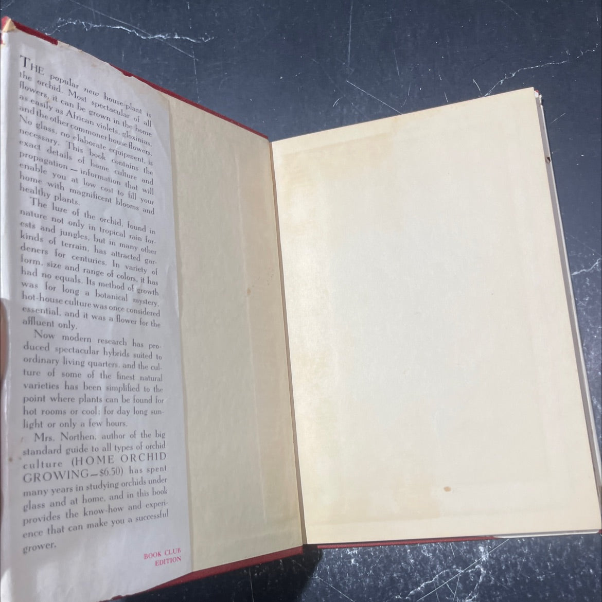 orchids as house plants book, by rebecca tyson northen, 1955 Hardcover image 4