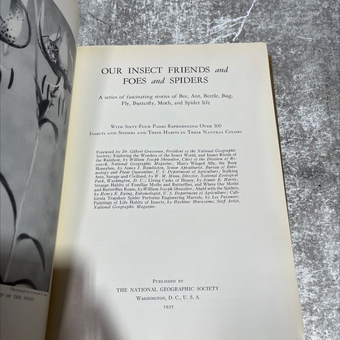 our insect friends and foes and spiders book, by William Joseph Showalter, James I. Hambleton, W. M. Mann, Jennie E. image 2