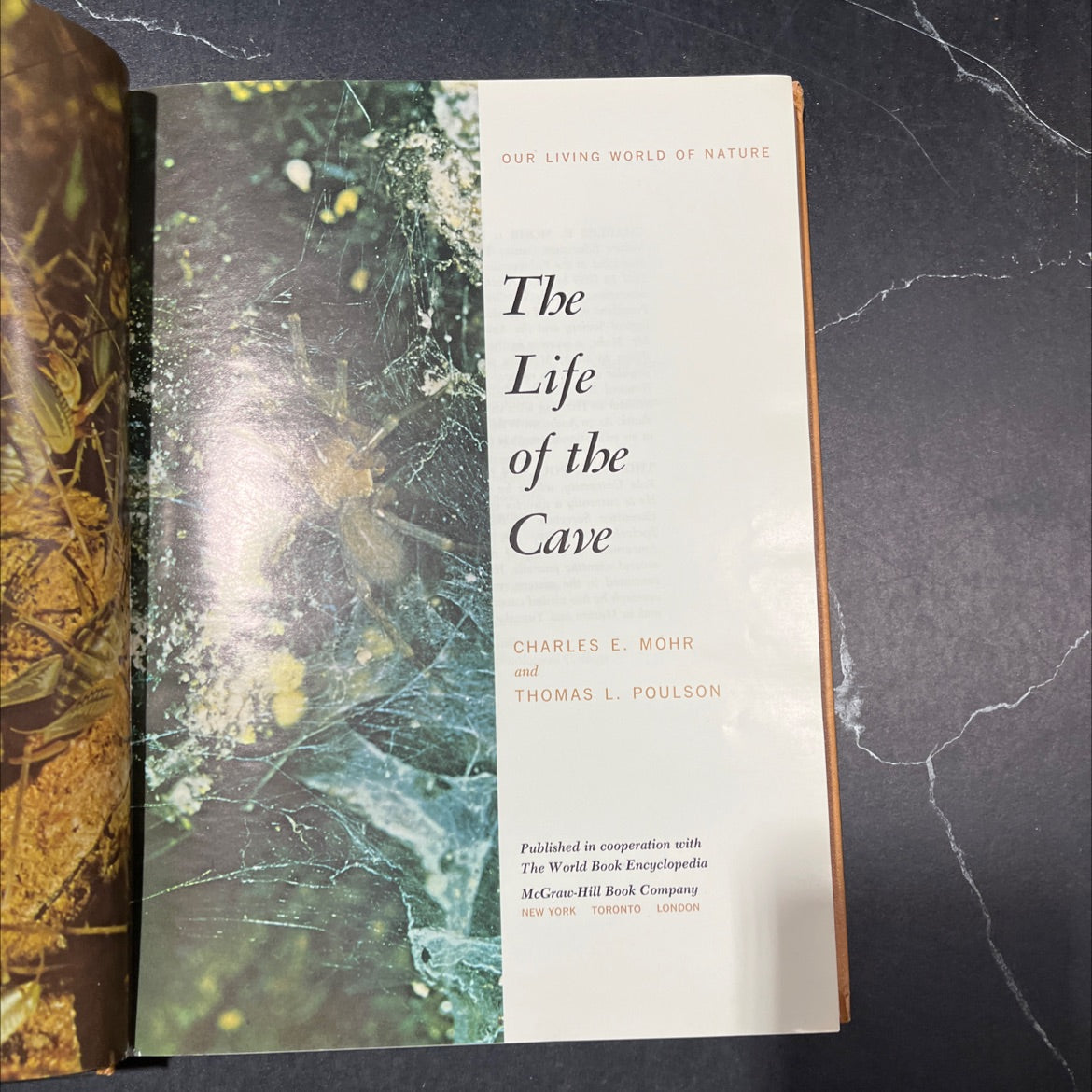 our living world of nature the life of the cave book, by charles e. mohr and thomas l. poulson, 1969 Hardcover image 2