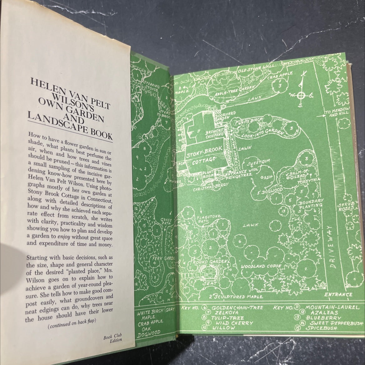 own garden and landscape book book, by Helen Van Pelt Wilson, 1973 Hardcover image 4