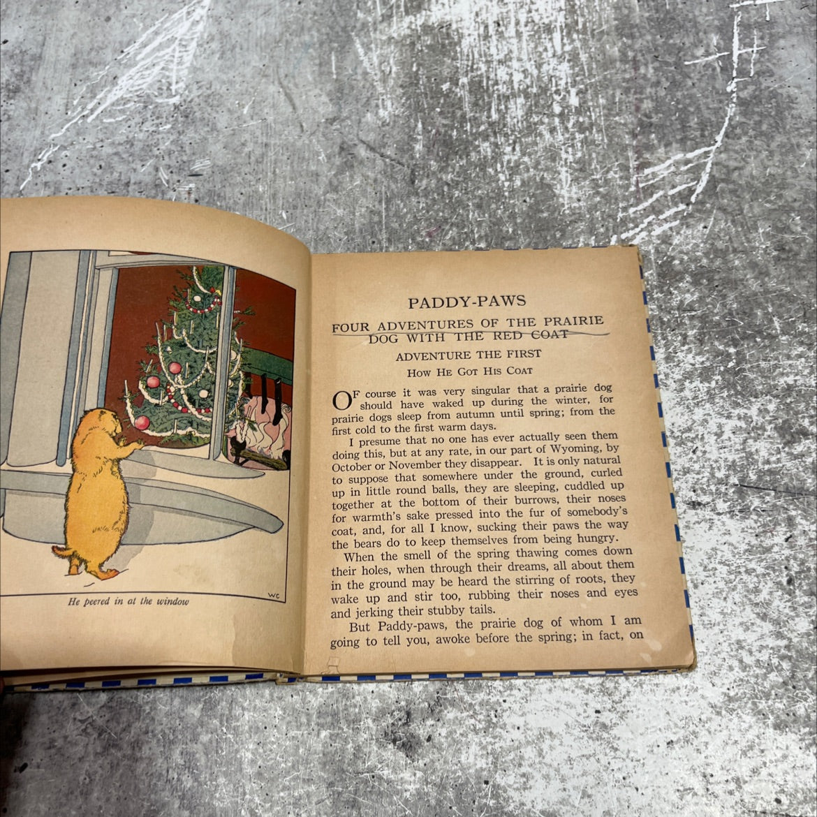 paddy-paws or four adventures of the prairie dog with the red coat book, by grace coolidge, 1937 Hardcover image 4