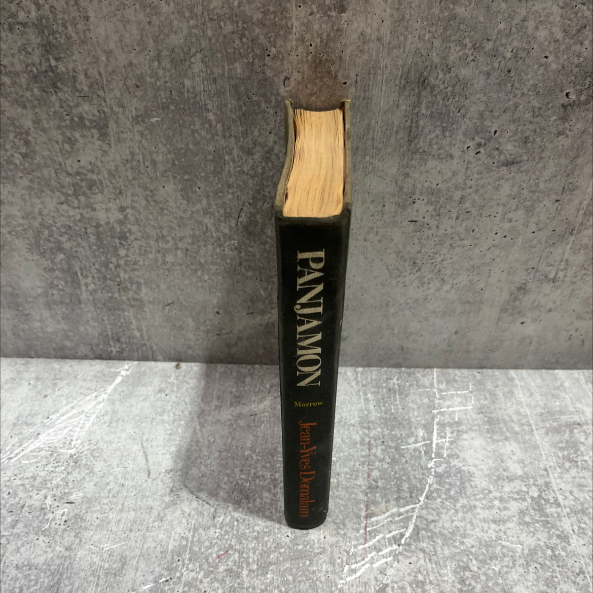 panjamon: a headhunter's experience book, by jean-yves domalain, 1973 Hardcover image 4