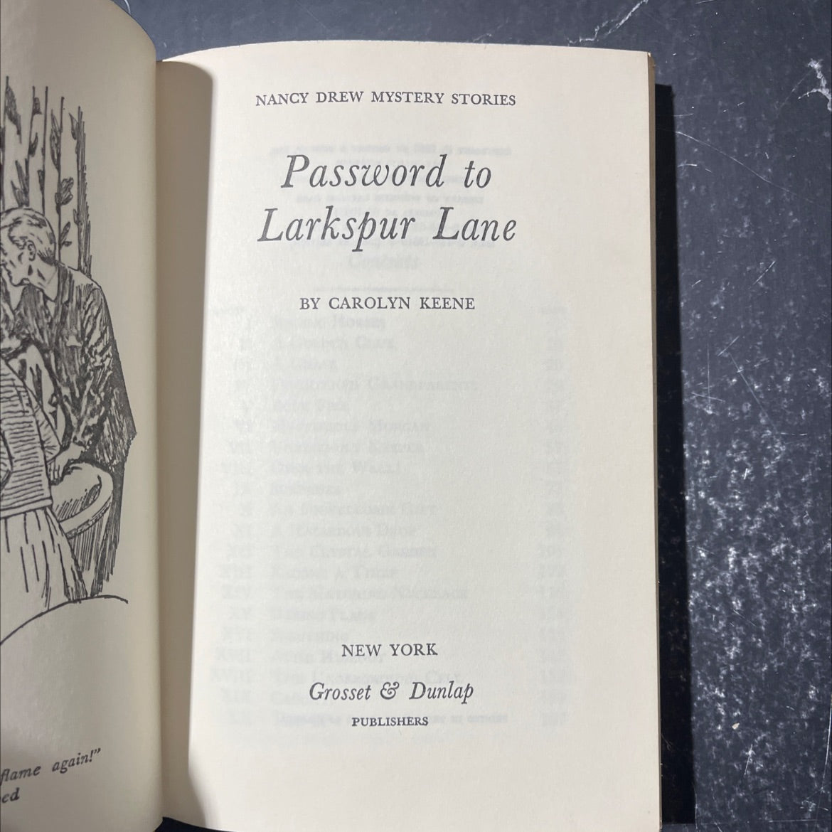 password to larkspur lane book, by carolyn keene, 1966 Hardcover image 2