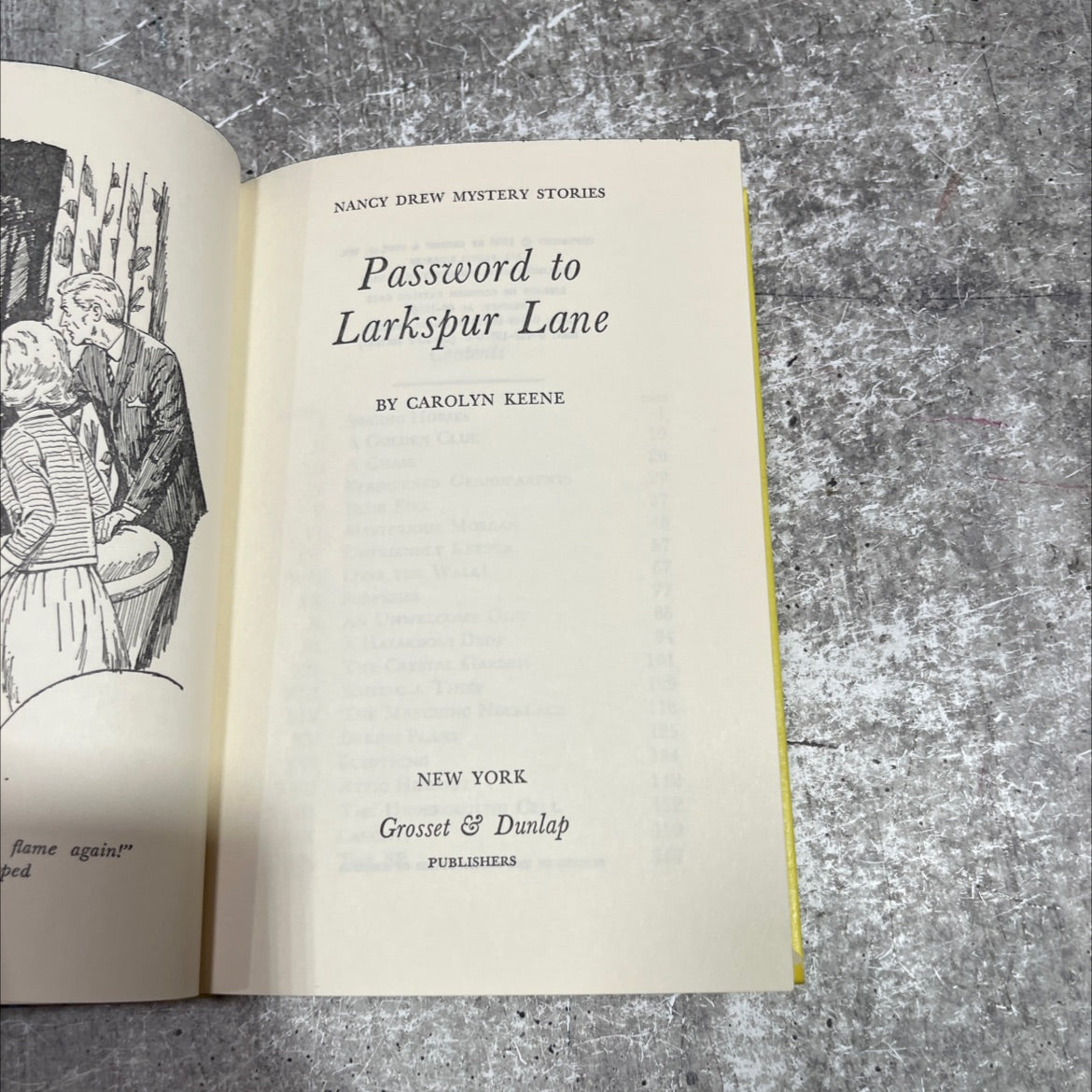 password to larkspur lane book, by carolyn keene, 1966 Hardcover image 2
