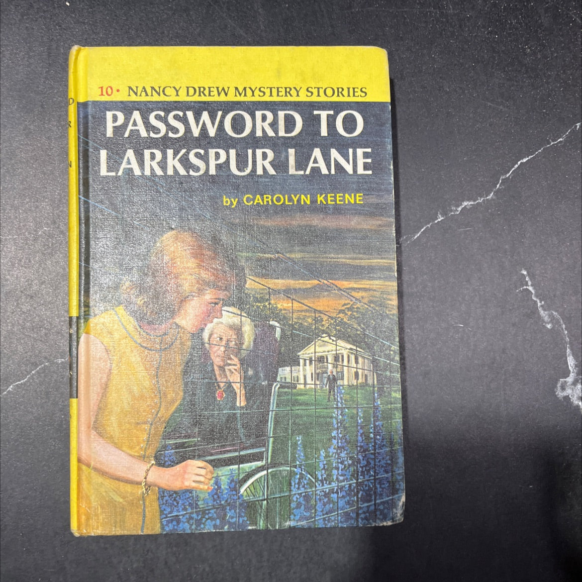 password to larkspur lane book, by carolyn keene, 1966 Hardcover image 1