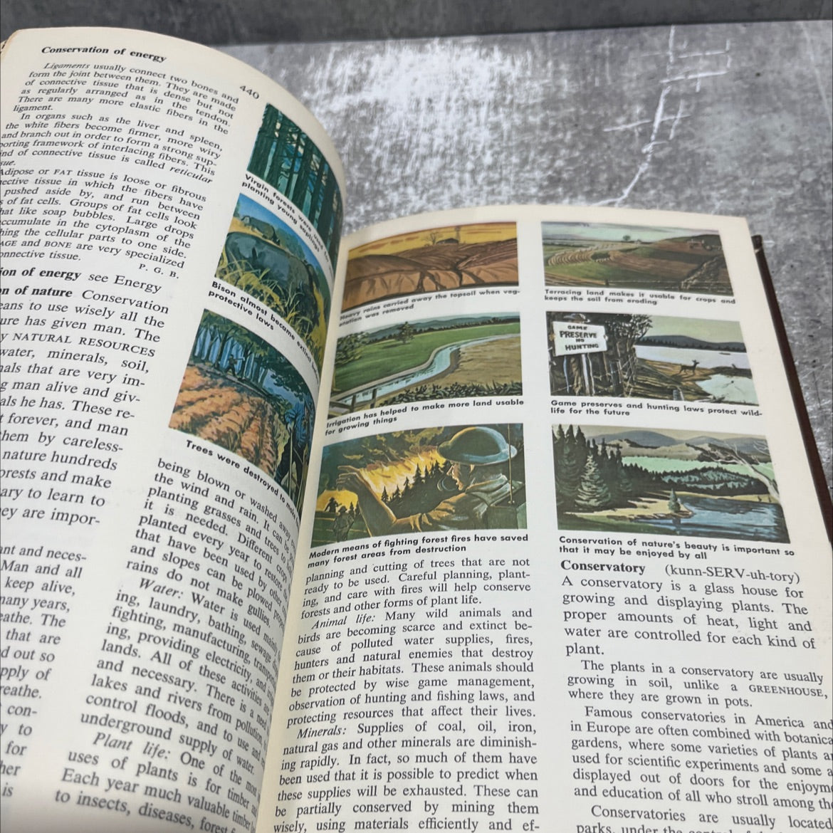people's encyclopedia book, by staff of education, 1965 Hardcover image 4