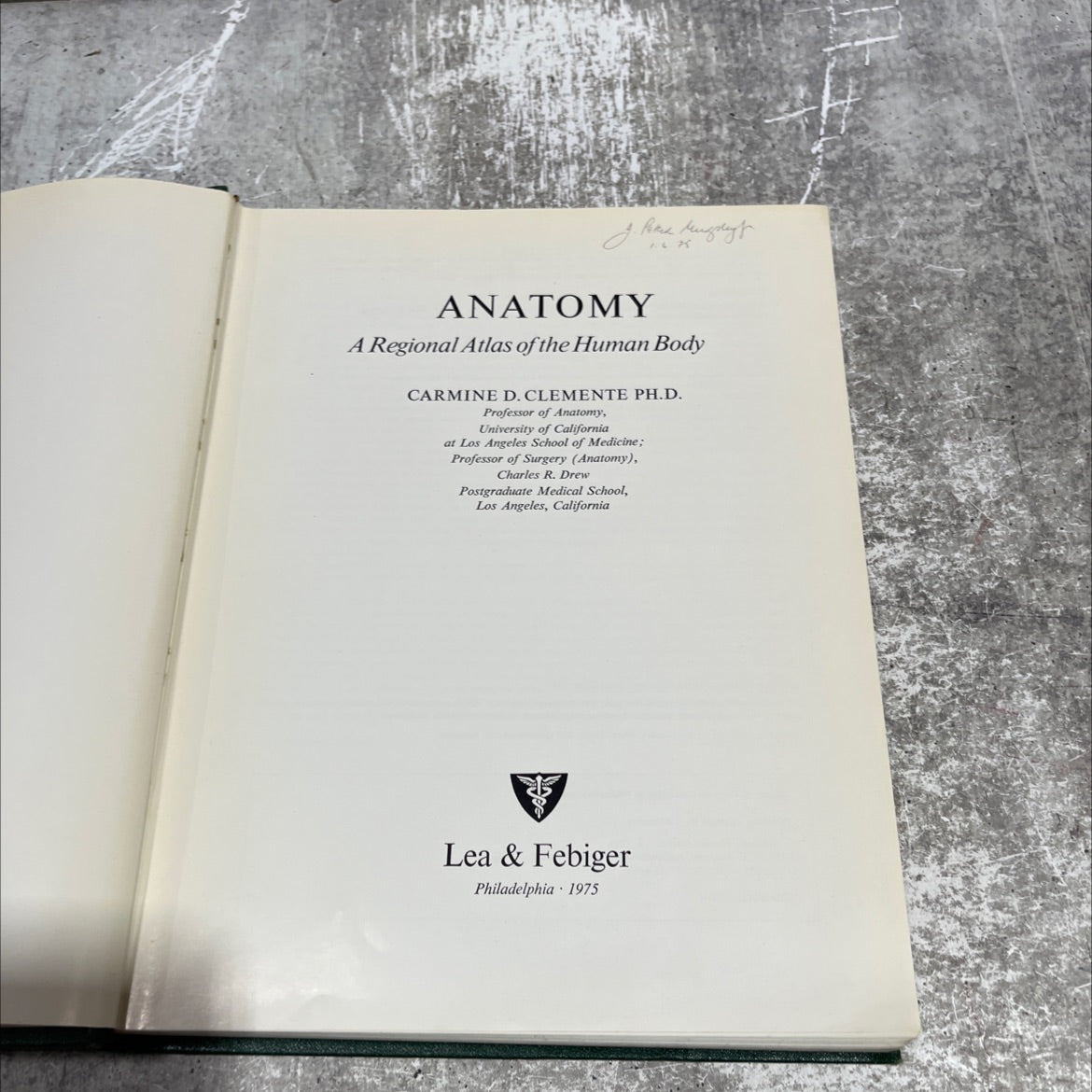 perl mugsleyf anatomy a regional atlas of the human body book, by carmine d. clemente, 1975 Hardcover image 2