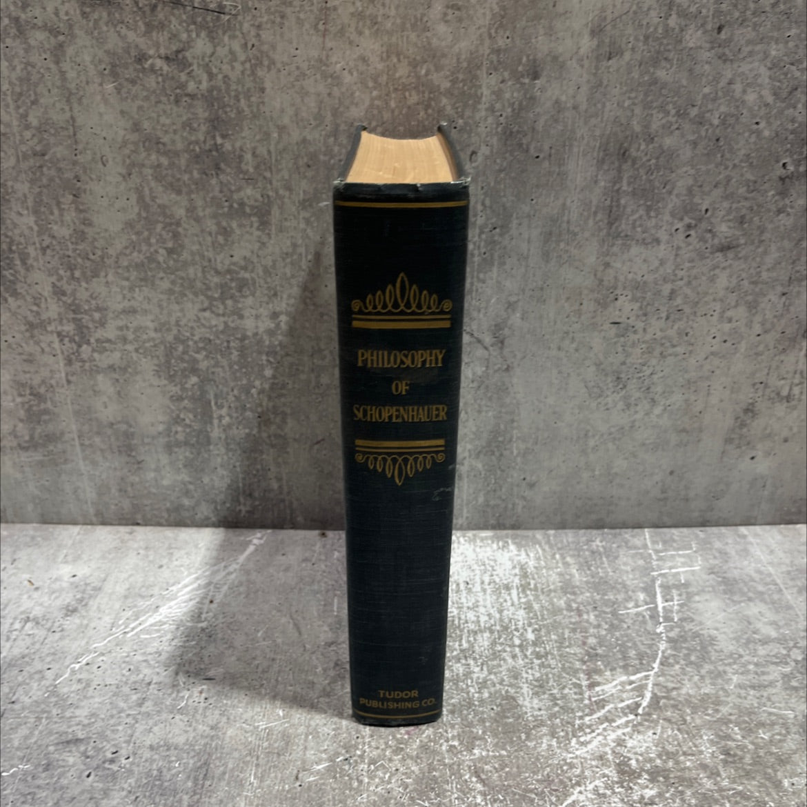 philosophy of arthur schopenhauer book, by arthur schopenhauer, 1936 Hardcover image 4