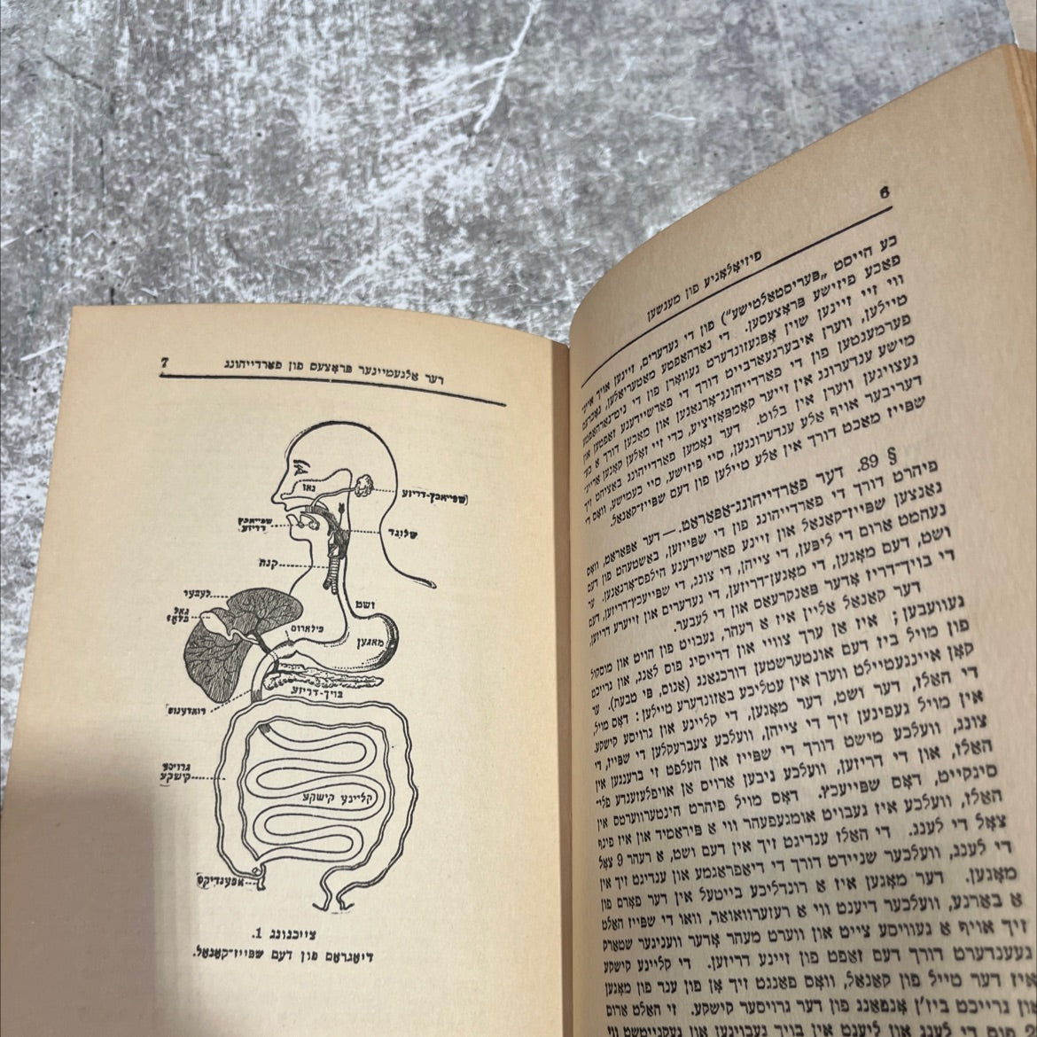 physiology of humans book, by dr. y. a. marisan, 1925 Hardcover image 4