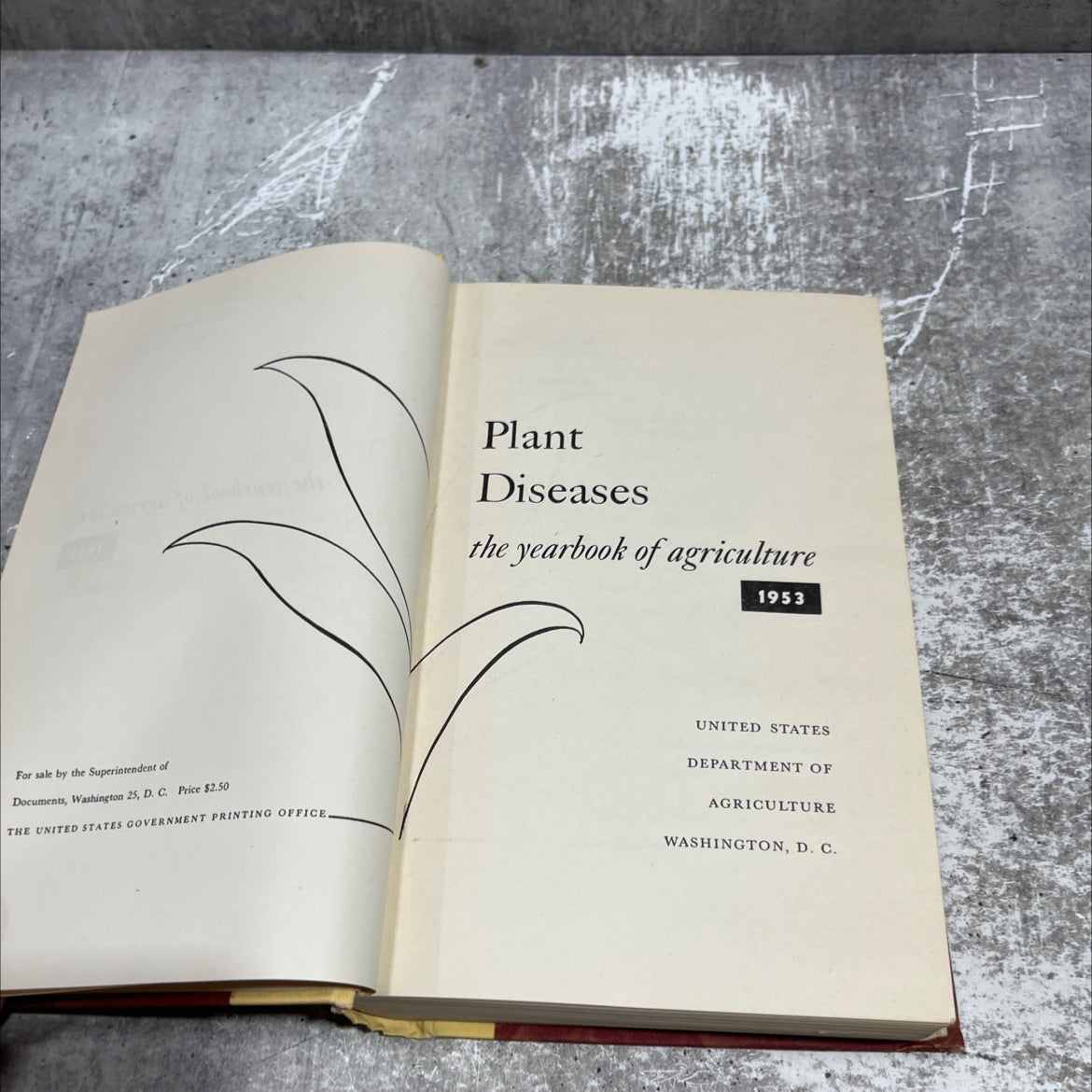 plant diseases the yearbook of agriculture 1953 book, by unknown, 1953 Hardcover image 2