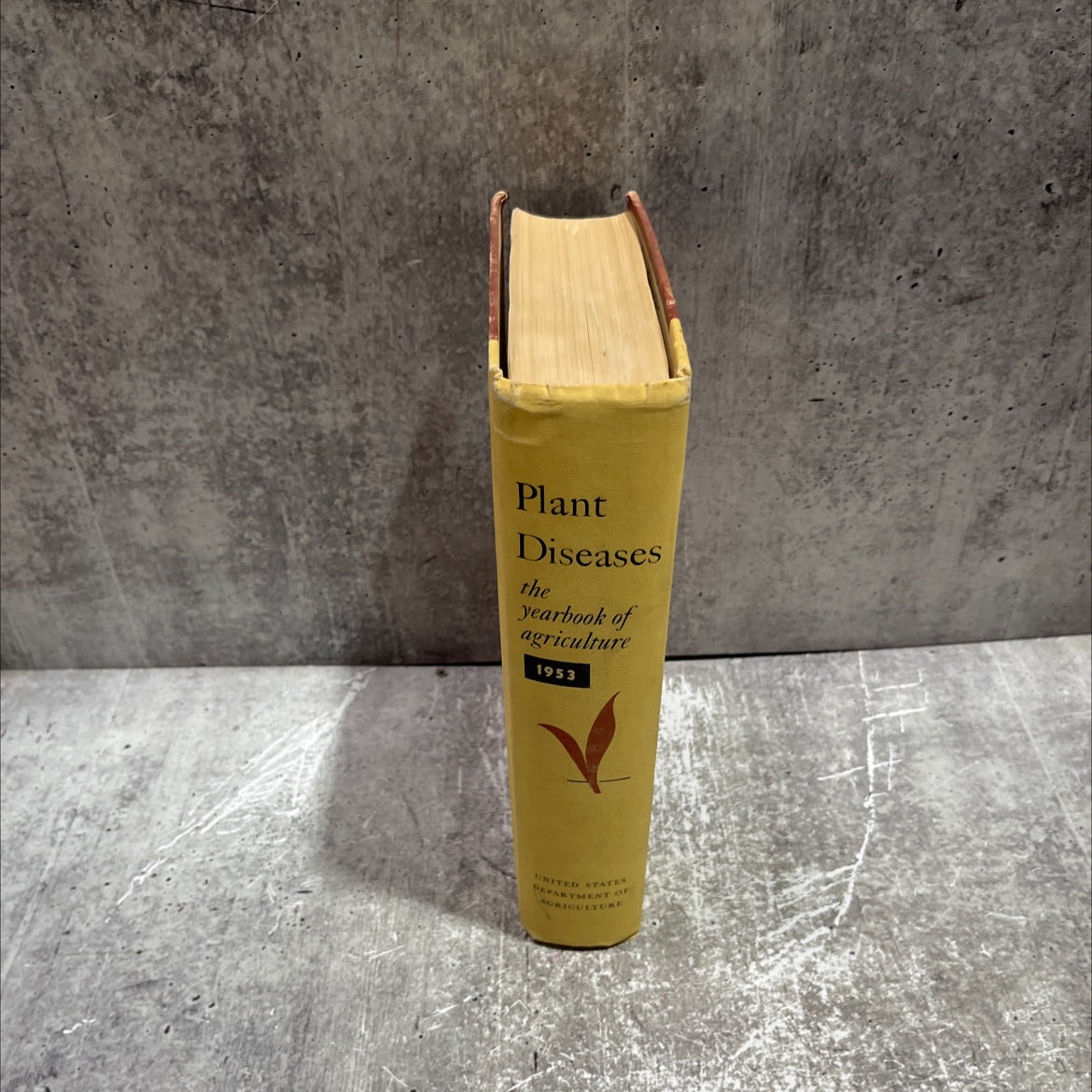plant diseases the yearbook of agriculture 1953 book, by unknown, 1953 Hardcover image 3