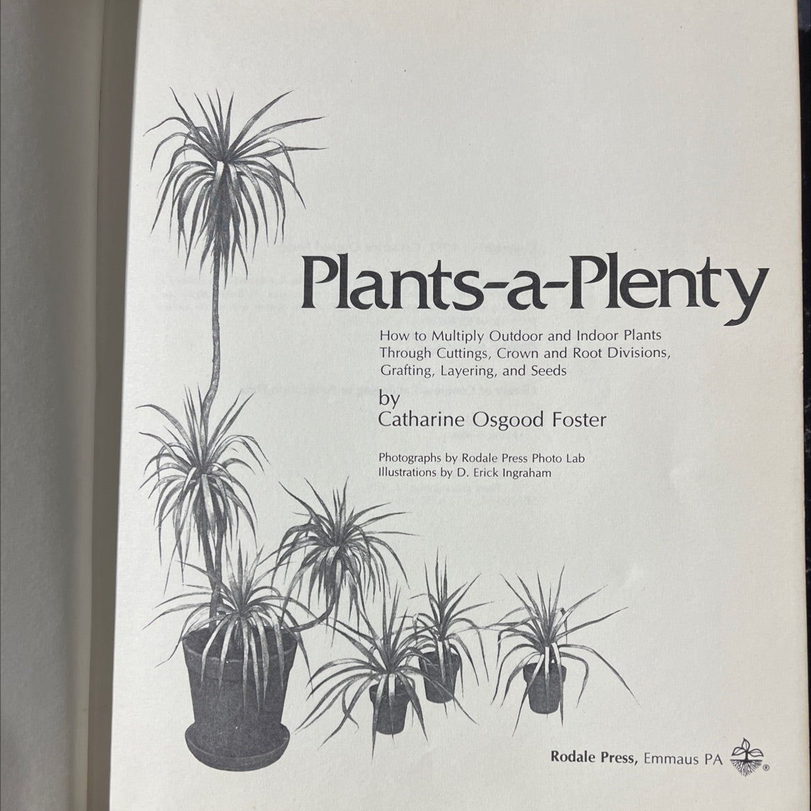 plants-a-plenty how to multiply outdoor and indoor plants through cuttings crown and root divisions grafting layering image 2