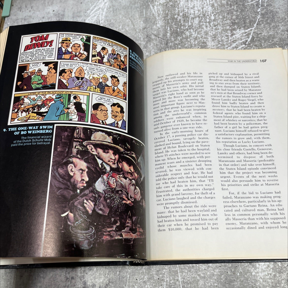playboy's illustrated history of organized crime book, by Richard Hammer, 1975 Hardcover image 4