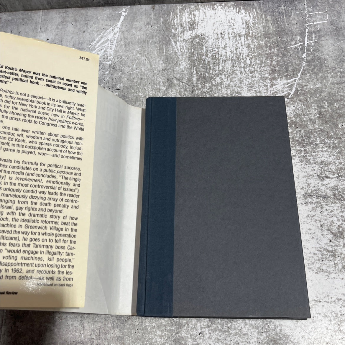 politics book, by edward i. koch, 1985 Hardcover image 4