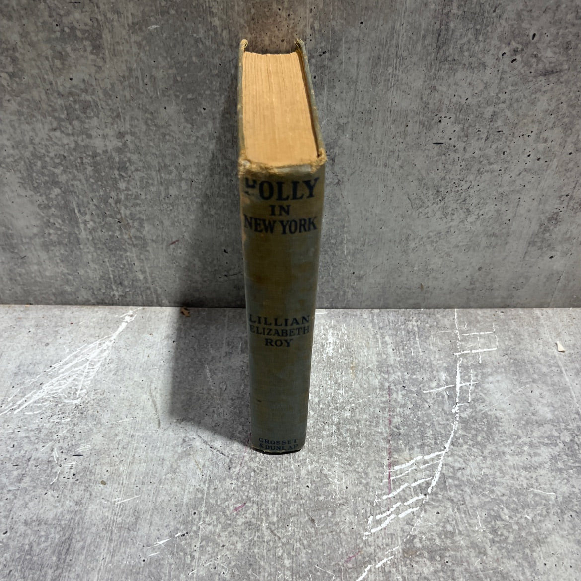 polly in new york book, by lillian elizabeth roy, 1922 Hardcover image 4