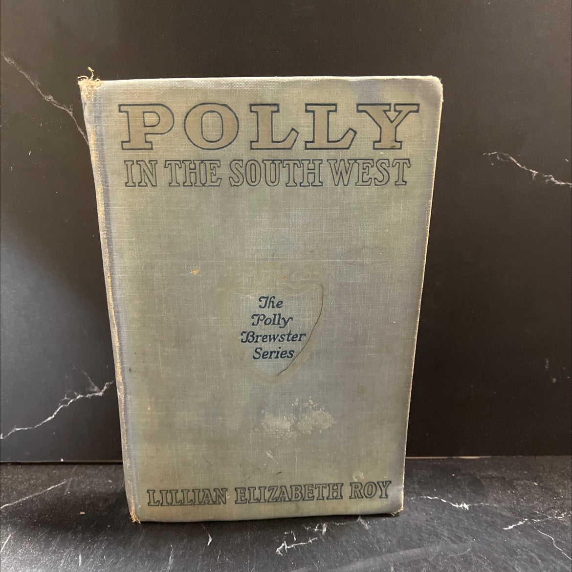 polly in the southwest book, by lillian elizabeth roy, 1925 Hardcover image 1