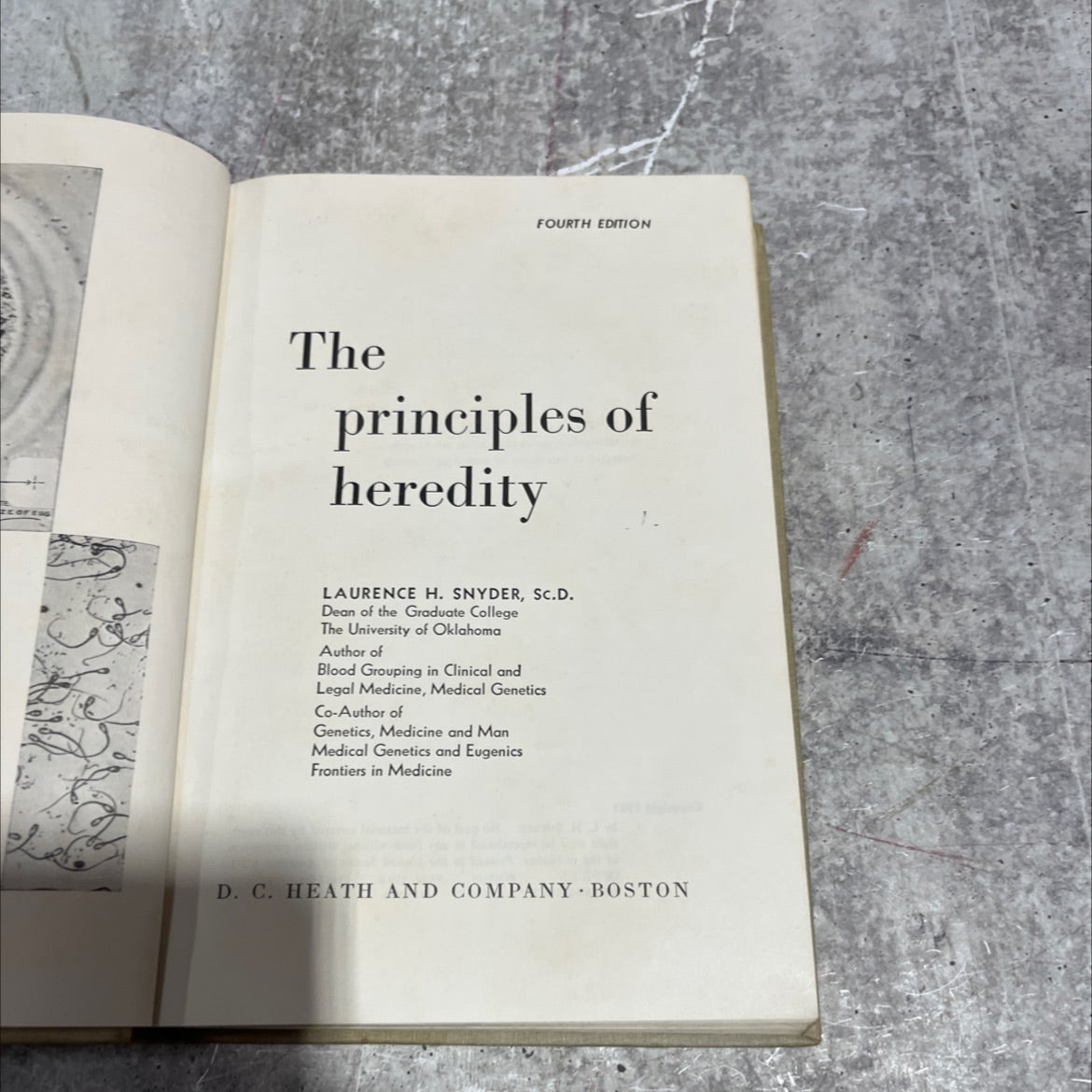 principles of heredity book, by laurence h. snyder, 1951 Hardcover image 2