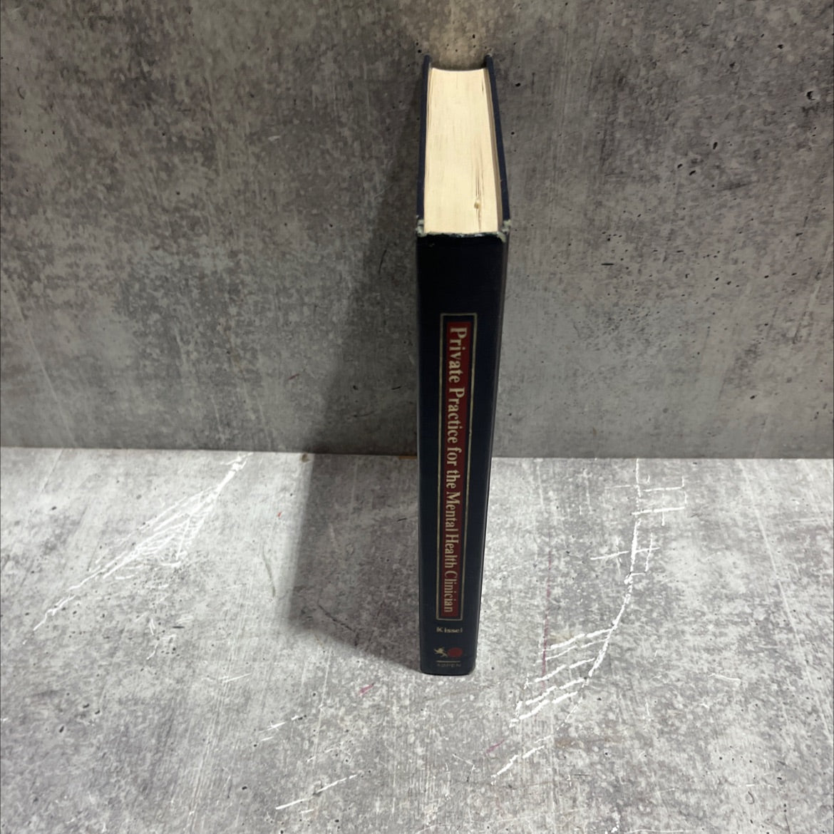 private practice for the mental health clinician book, by stanley kissel, 1983 Hardcover image 4