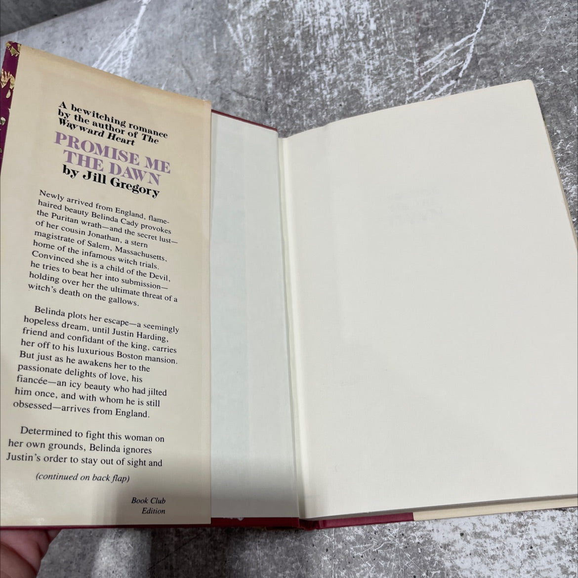 promise me the dawn book, by Jill Gregory, 1984 Hardcover image 4