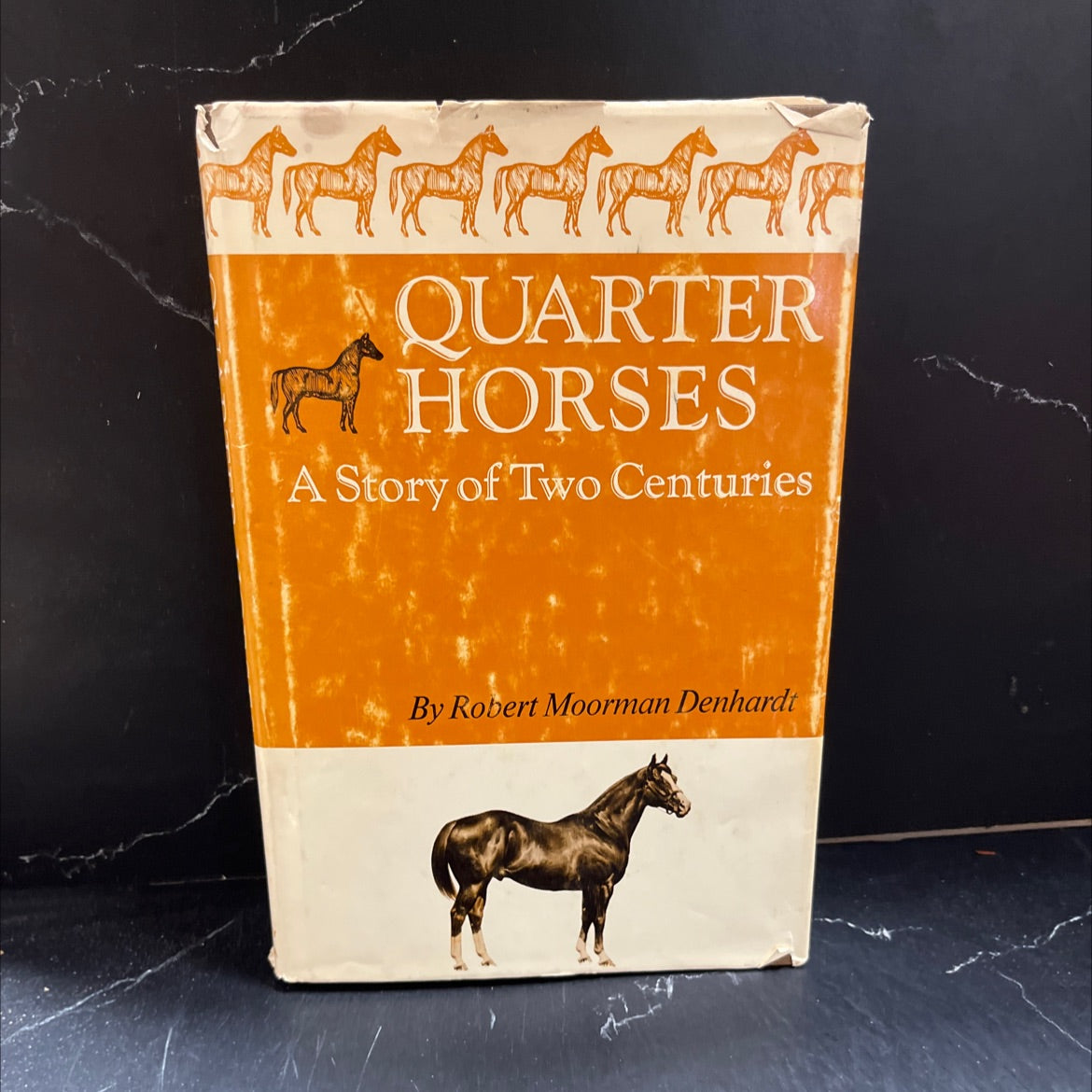 quarter horses a story of two centuries book, by robert moorman denhardt, 1970 Hardcover image 1