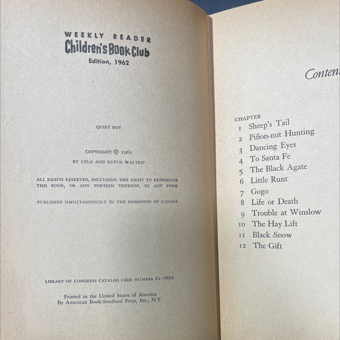quiet boy book, by lela and rufus waltrip, 1962 Hardcover image 3