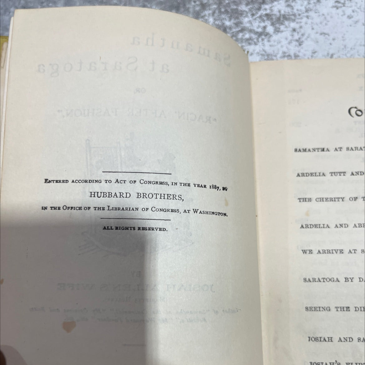 racin' after fashion book, by josiah allen's wife (marietta holley), 1896 Hardcover image 3