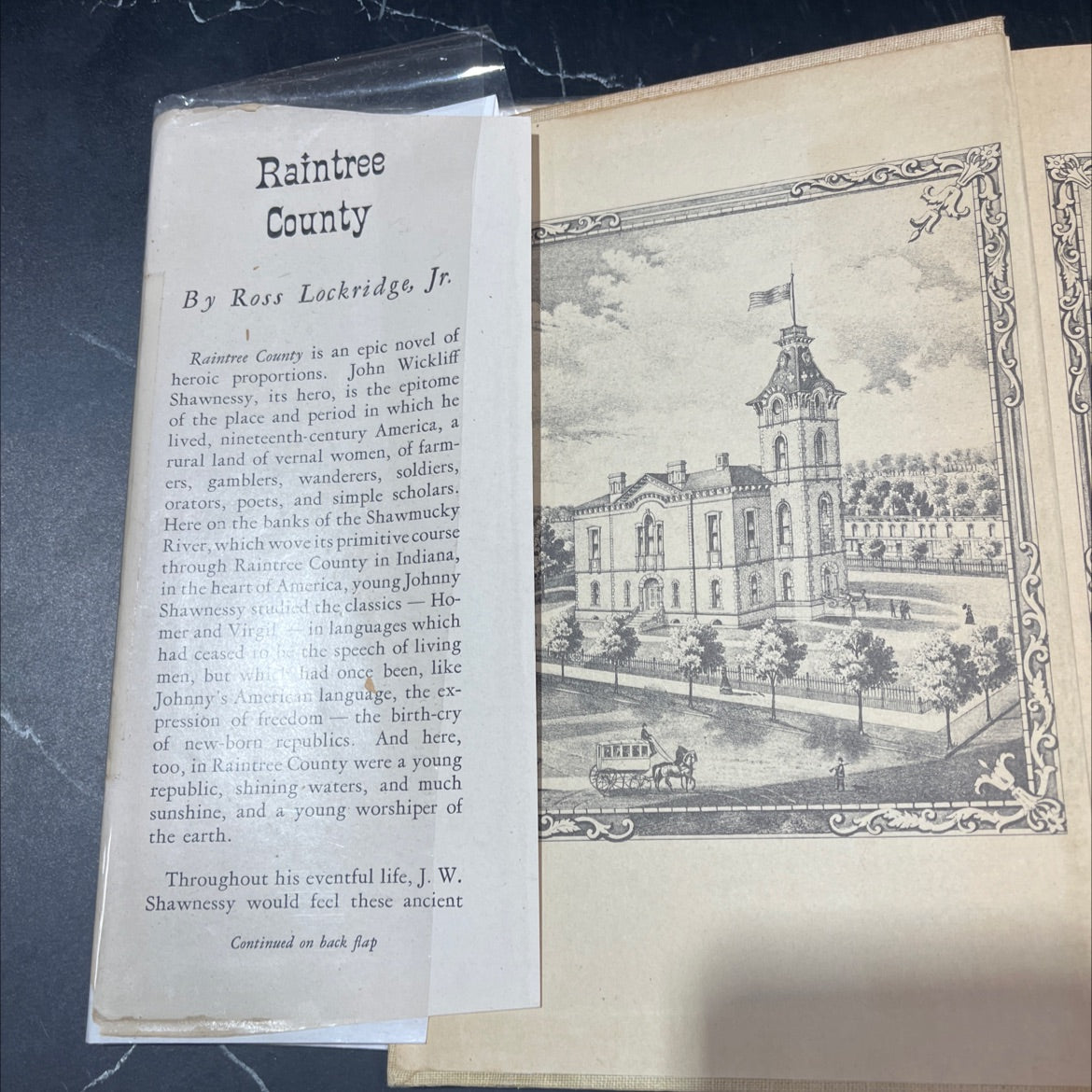 raintree county book, by ross f. lockridge, jr., 1948 Hardcover image 4