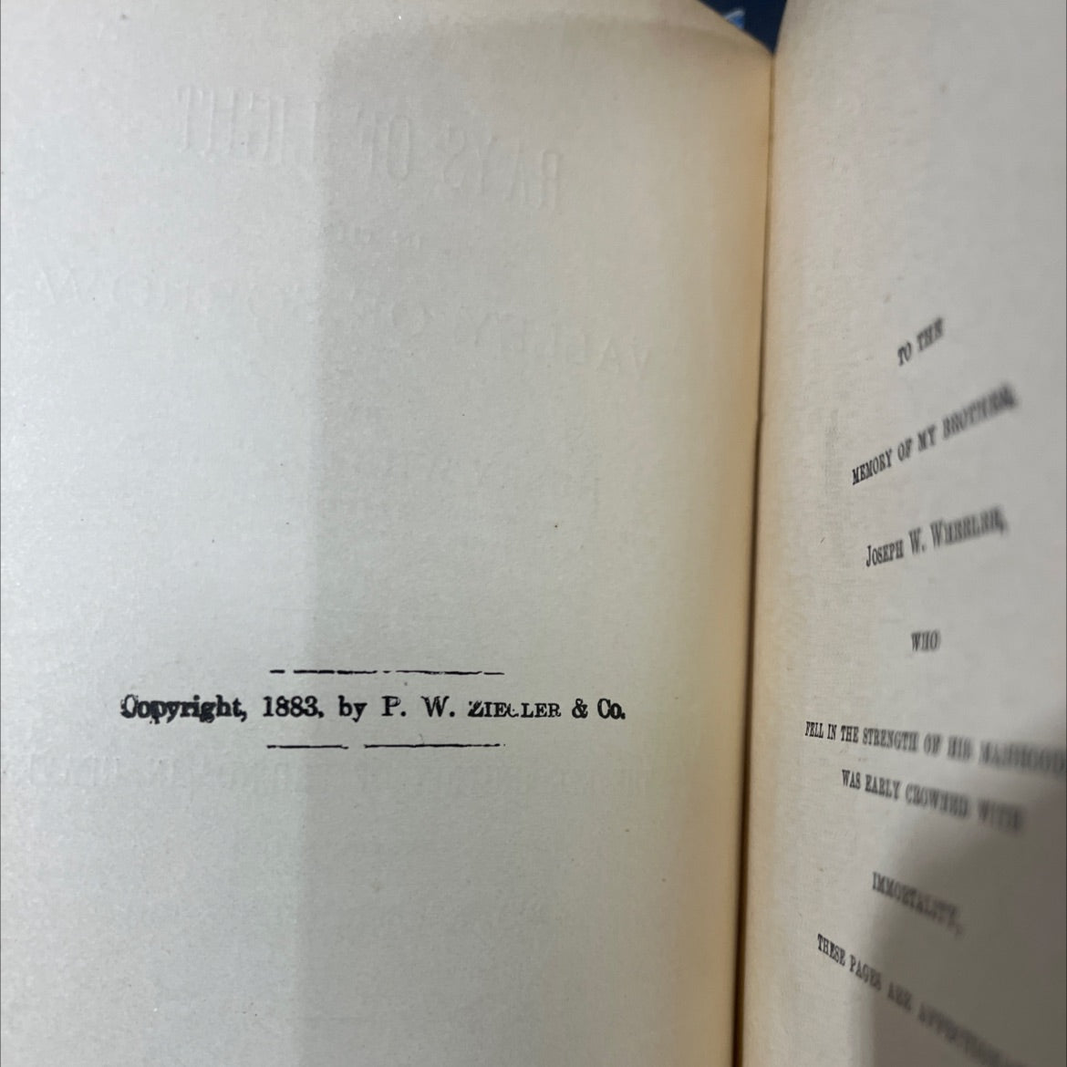 rays of light in the valley of sorrow book, by henry wheeler, d. d., 1883 Hardcover image 3