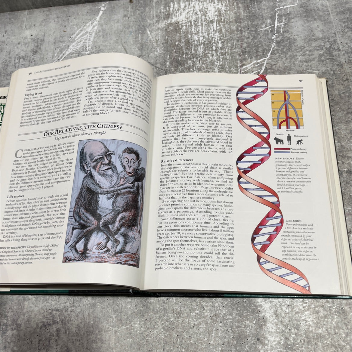 reader's digest facts fallacies book, by unknown, 1988 Hardcover image 4