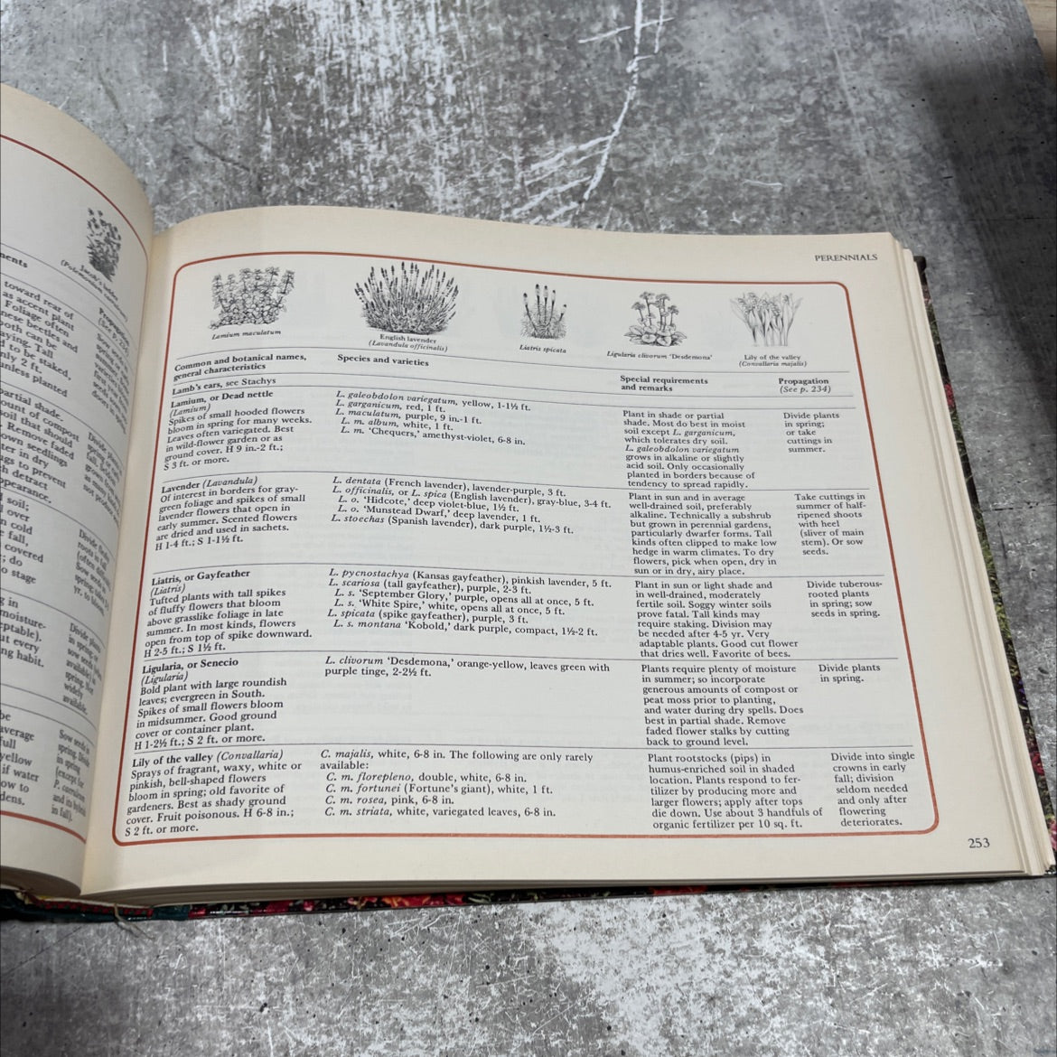 reader's digest illustrated guide to gardening book, by unknown, 1978 Hardcover image 4