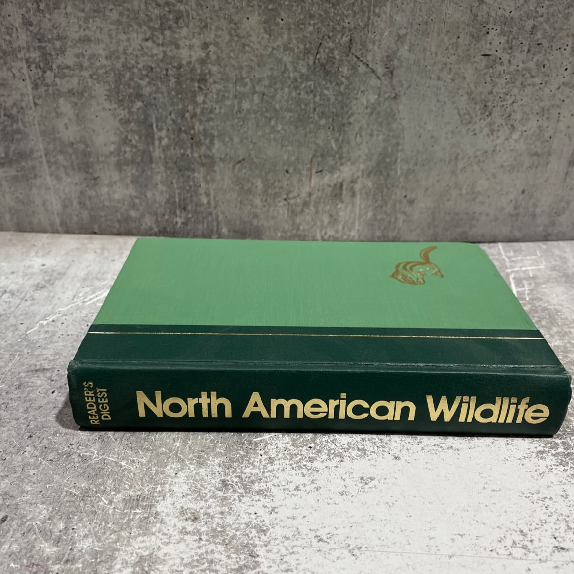 reader's digest north american wildlife book, by susan j. wernert, 1982 Hardcover image 4