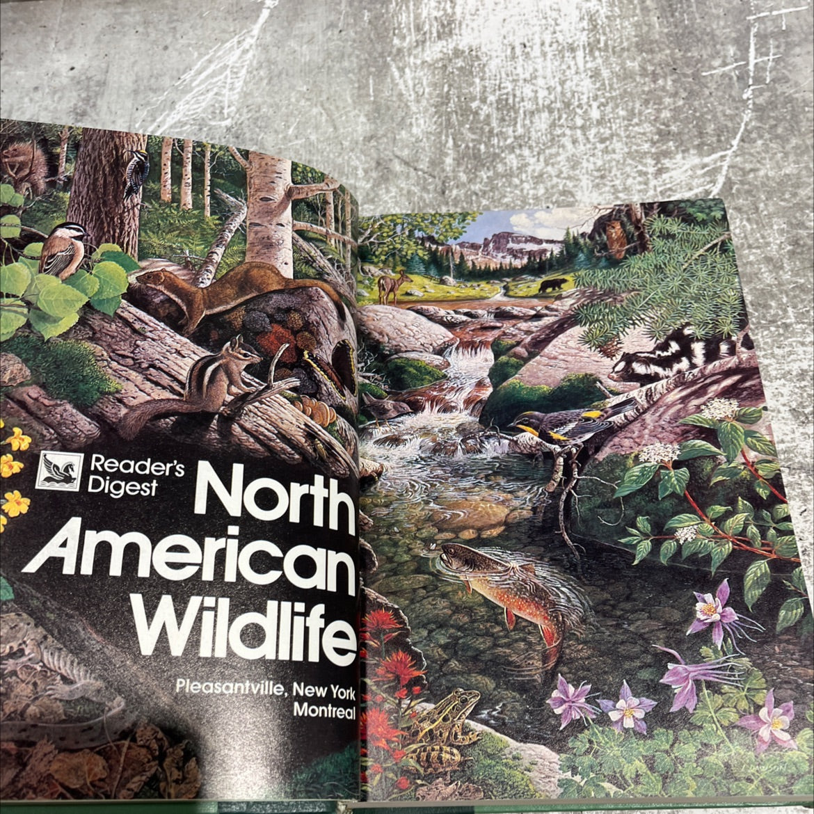 reader's digest north american wildlife book, by susan j. wernert, 1982 Hardcover image 2