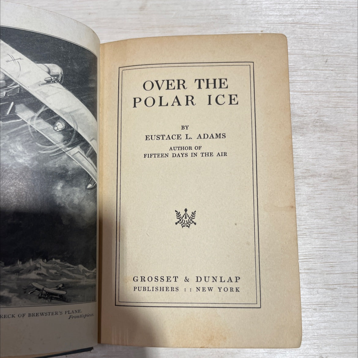 reck of brewster's plane book, by eustace l. adams, 1928 Hardcover image 2